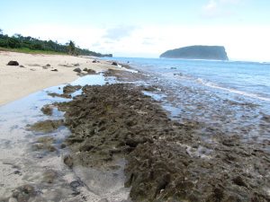 Beachrock and paleoreef on southeastern coast of 'Upolu, Samoa suggests higher sea level in the past
