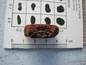 A plainware sherd found on the surface at Aleipata (no calcareous temper).